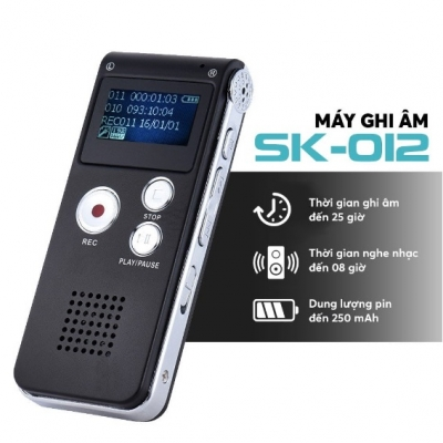 Professional Voice Recorder SK-012 8G